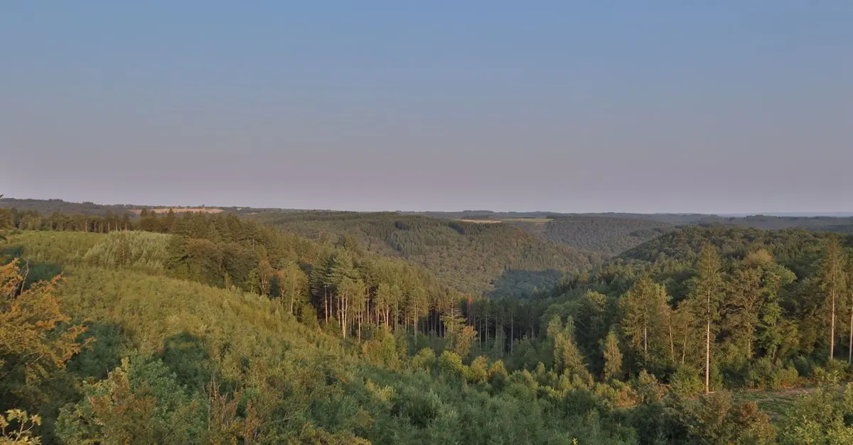 Les aventures incontournables à vivre en Belgique