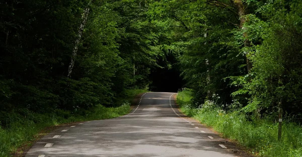 Les meilleures randonnées à faire en Belgique en pleine nature