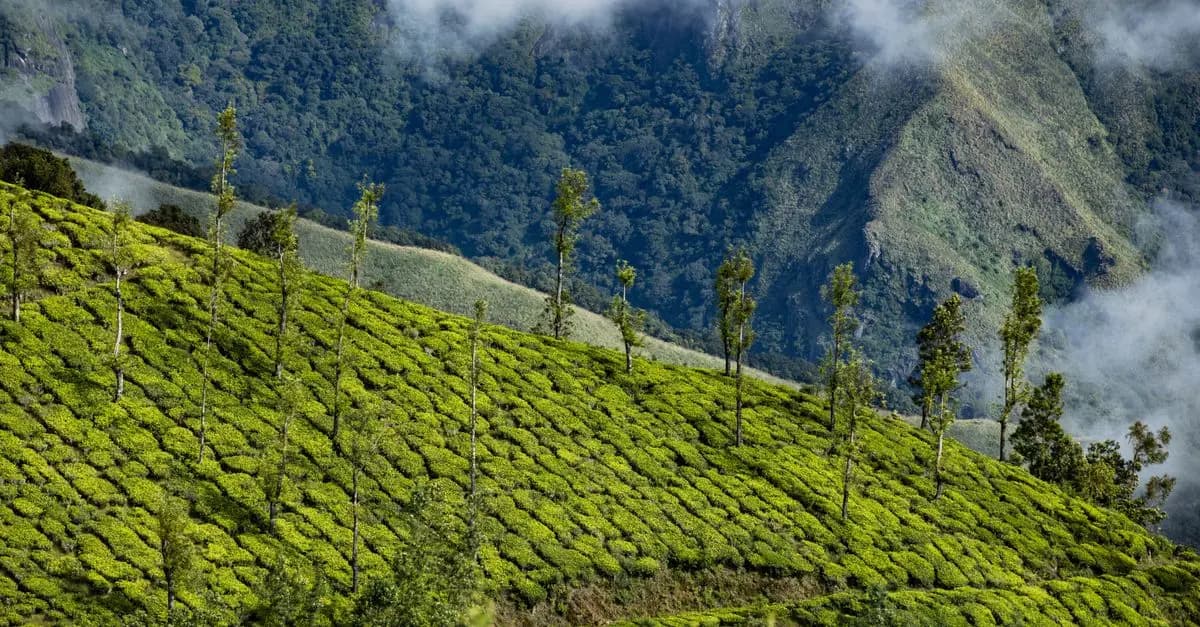 Les destinations écologiques émergentes à surveiller