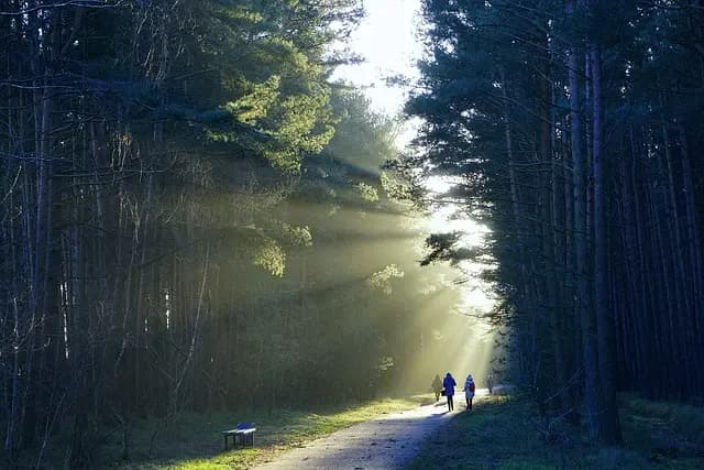 Les meilleures pratiques pour un camping sauvage réussi