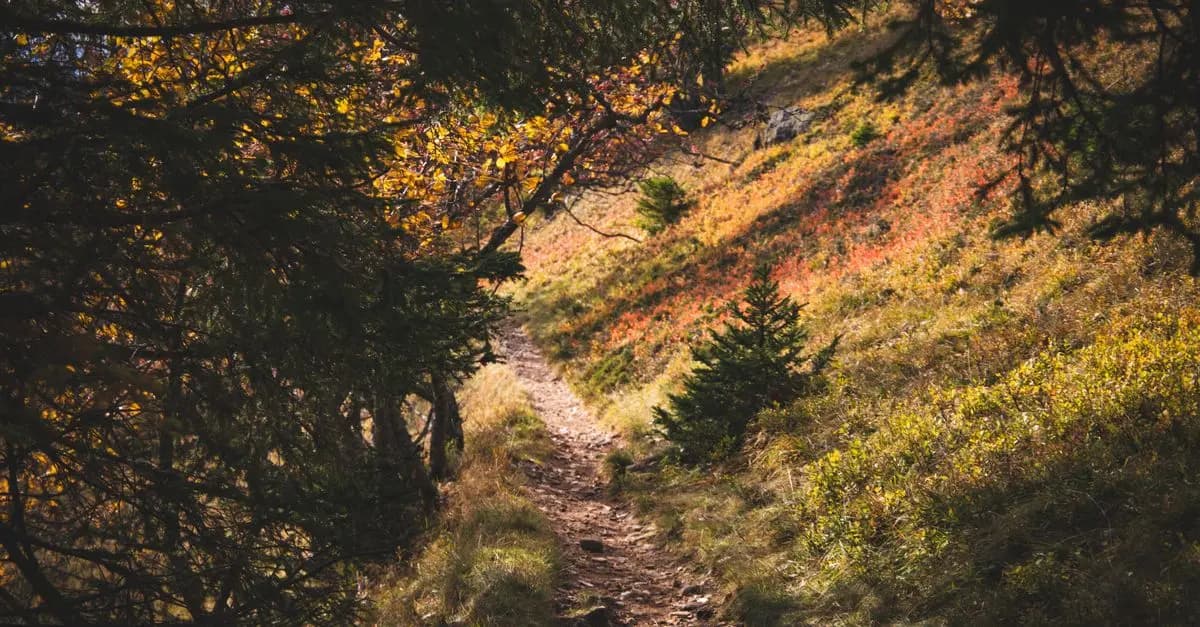 Les meilleures destinations de randonnée en Belgique
