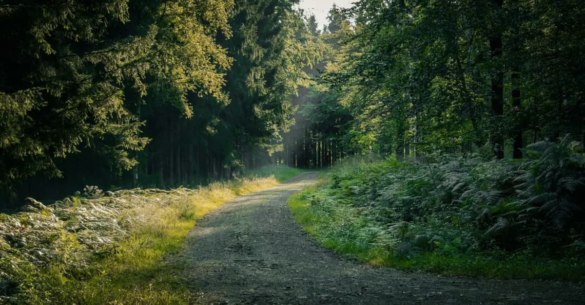 Les plus belles randonnées à faire en Belgique