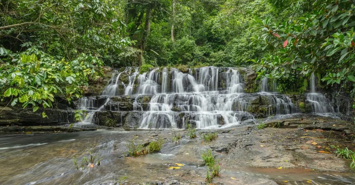 Meilleures destinations d'éco-aventure à travers le monde