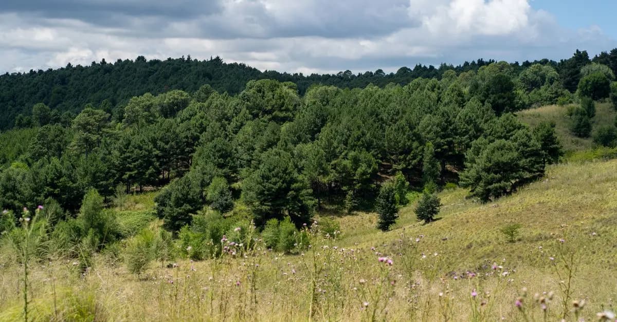 Pourquoi choisir l'écotourisme pour vos prochaines vacances