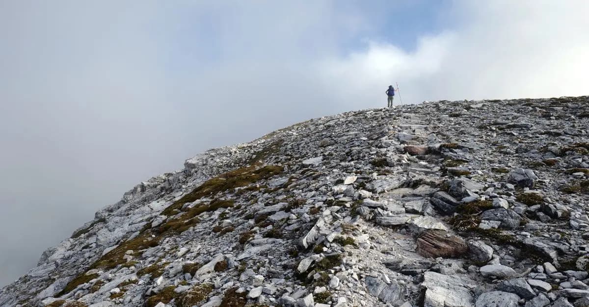 Comparatif : Trekking vs Randonnée, lequel choisir ?