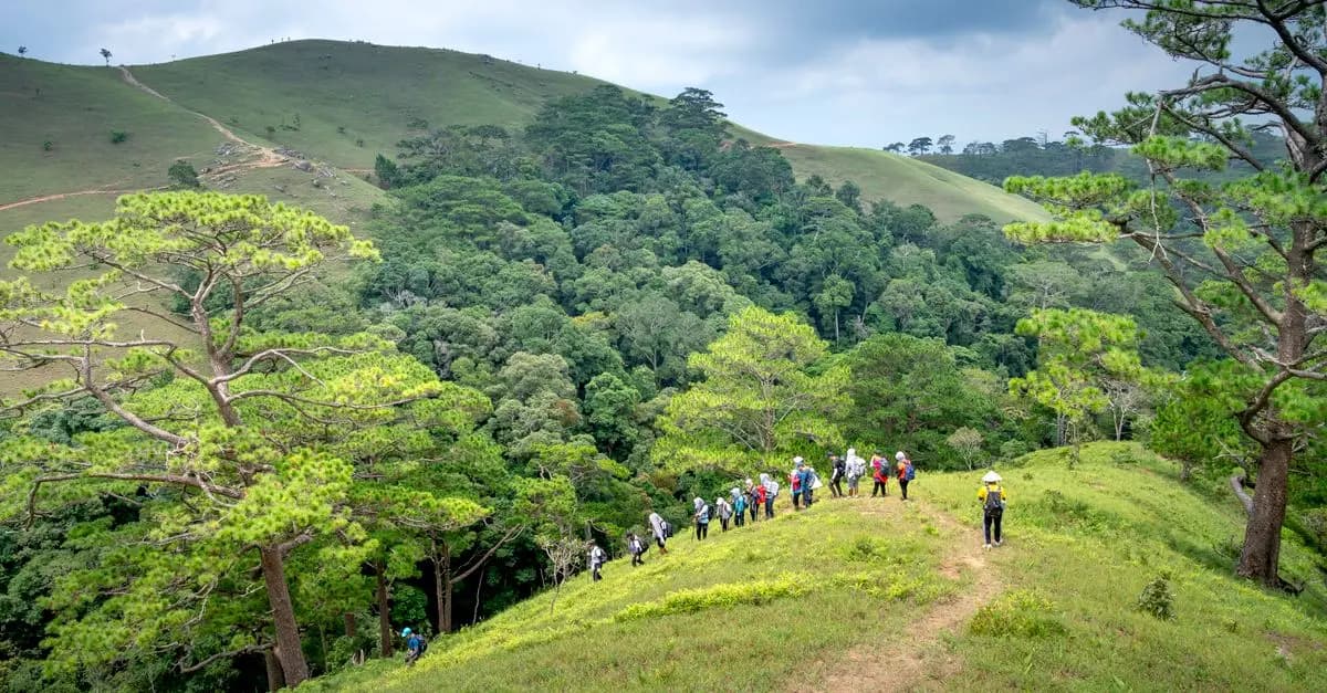 Les meilleures astuces pour voyager en pleine nature