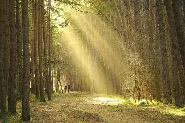 10 conseils pour un camping sauvage réussi en Belgique