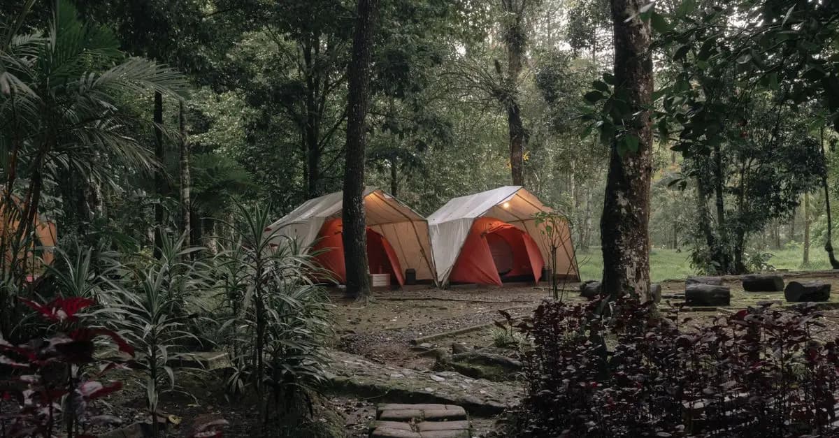 Les meilleures astuces pour réussir votre camping sauvage en Belgique