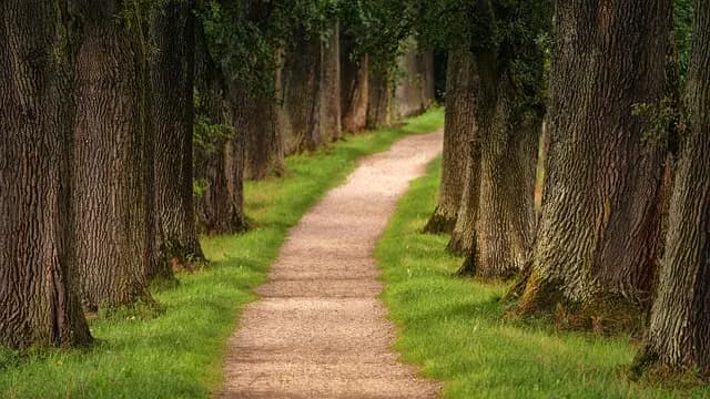 Les meilleures astuces pour réussir votre aventure en plein air