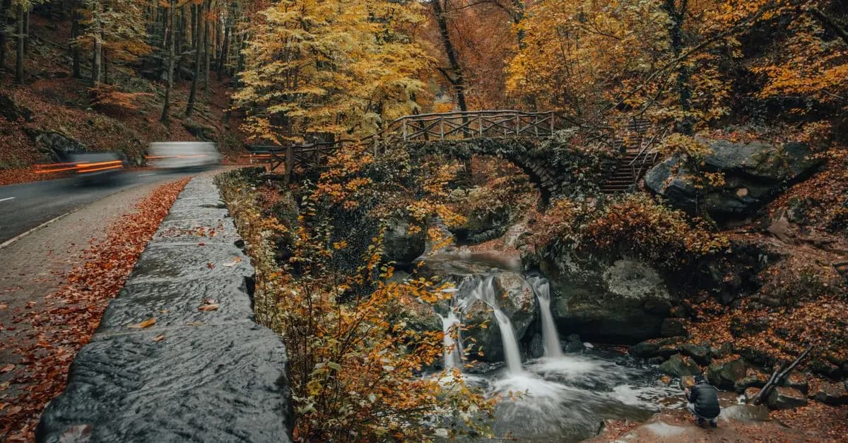 Les meilleures destinations de randonnée en Belgique