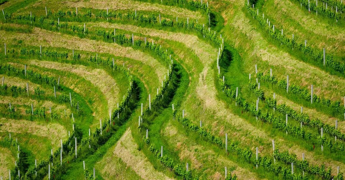 Les meilleures destinations pour un road trip d'aventure en Belgique