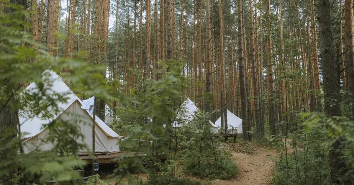 Découvrez les meilleures destinations de camping sauvage en Belgique