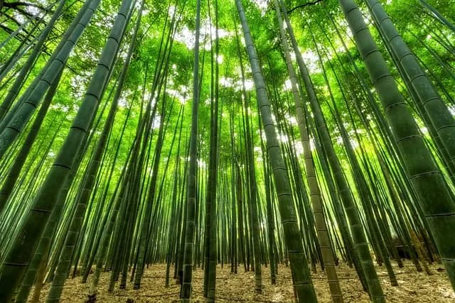 Les meilleures astuces pour choisir votre prochaine aventure en pleine nature