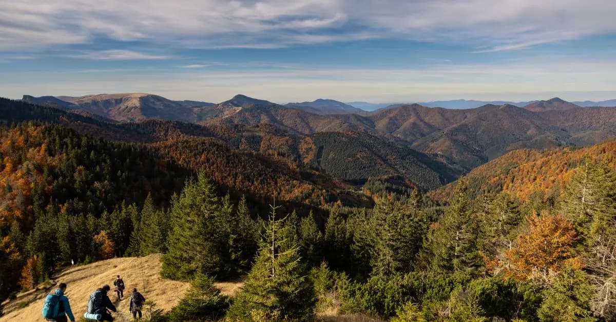 Les meilleures astuces pour un trek réussi en pleine nature