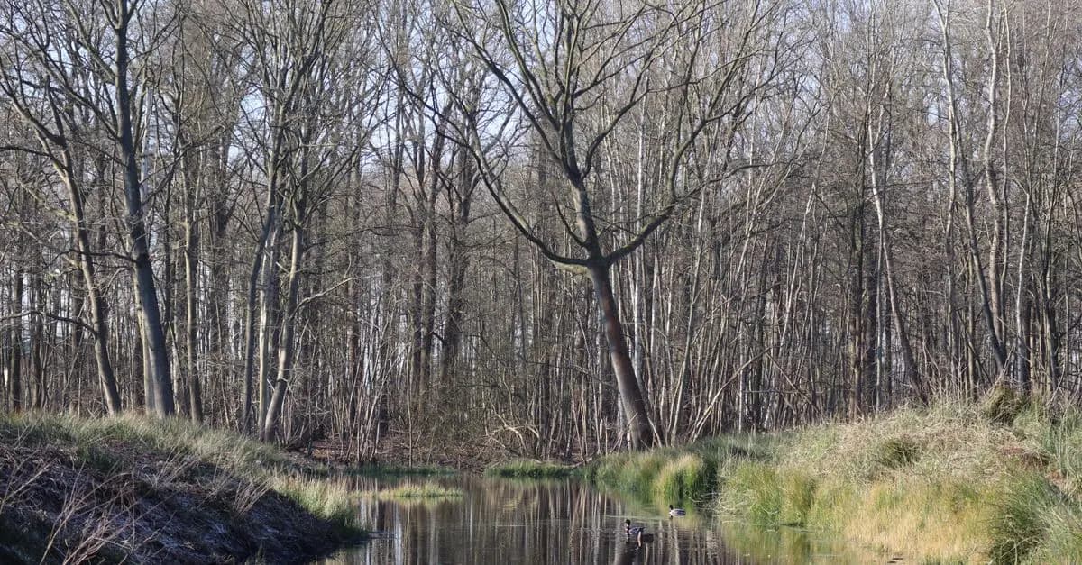 Les meilleures destinations pour le camping en Belgique