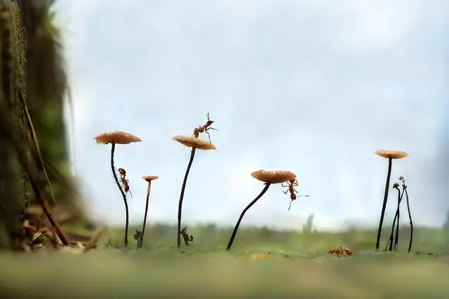 Les meilleures techniques pour photographier vos aventures