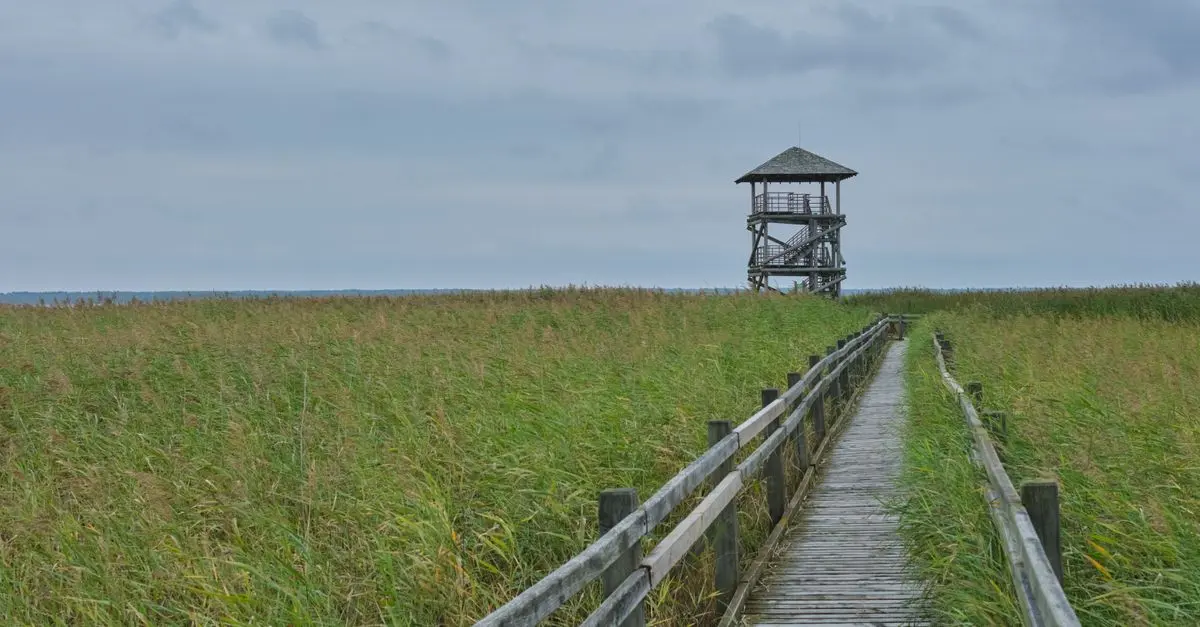 Les meilleures destinations pour l'écotourisme en Belgique