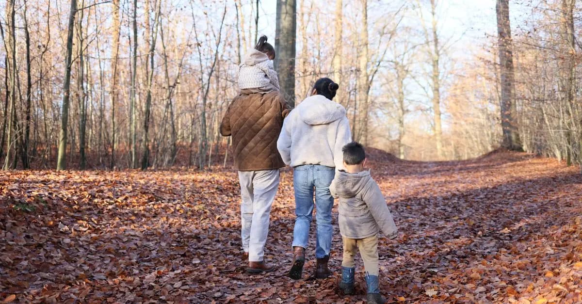 Les meilleures randonnées à faire en Belgique pour les familles