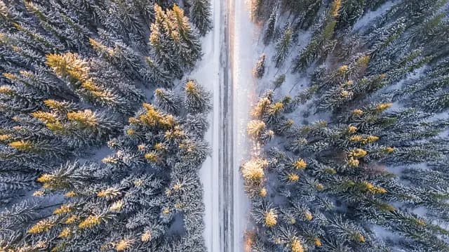 Comment choisir la meilleure activité d'aventure en Belgique