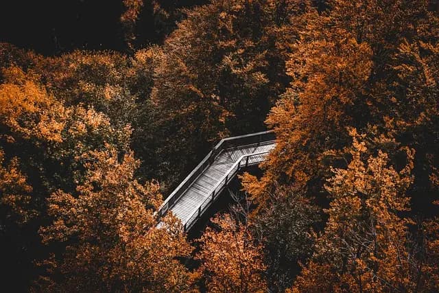 Les meilleures randonnées à faire en Belgique pour les aventuriers
