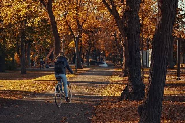 Les meilleures activités de plein air à découvrir en Belgique