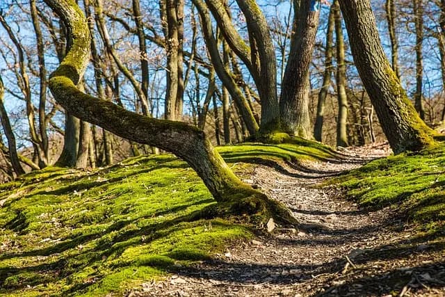 10 destinations de randonnée à explorer en Belgique