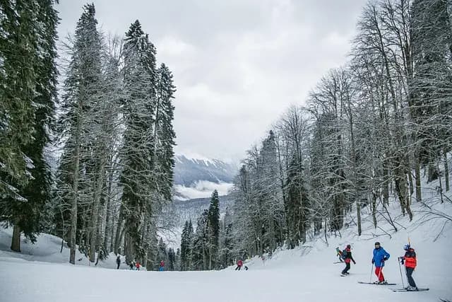 Comment choisir la meilleure activité d'aventure en plein air