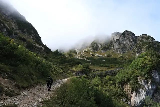 Top 10 des expériences d'écotourisme à vivre en Belgique