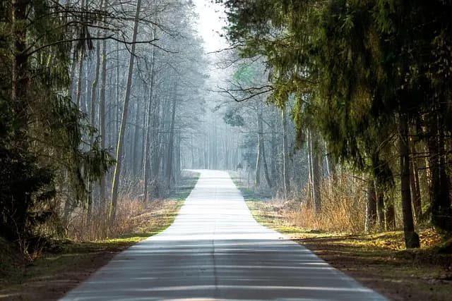 10 destinations d'écotourisme à découvrir en Belgique