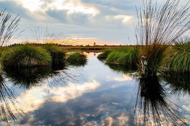 Les meilleures destinations d'écotourisme à découvrir en Belgique