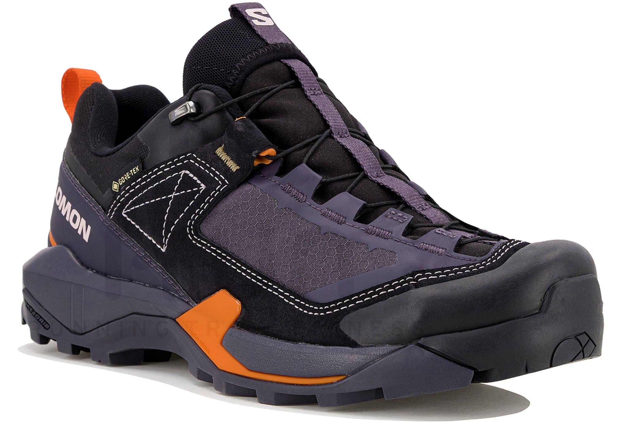 Salomon X Ultra Alpine Gore-Tex