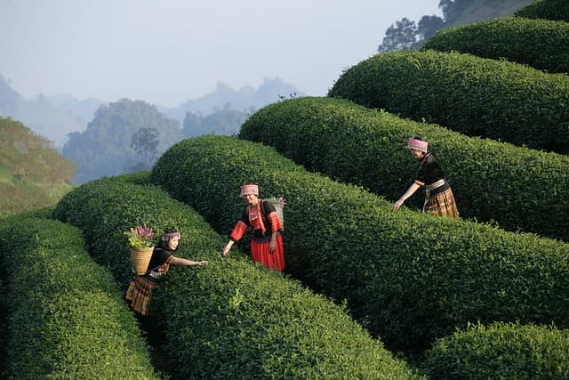 10 expériences d'écotourisme à vivre en pleine nature