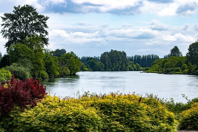Guide des meilleures destinations d'écotourisme en Belgique